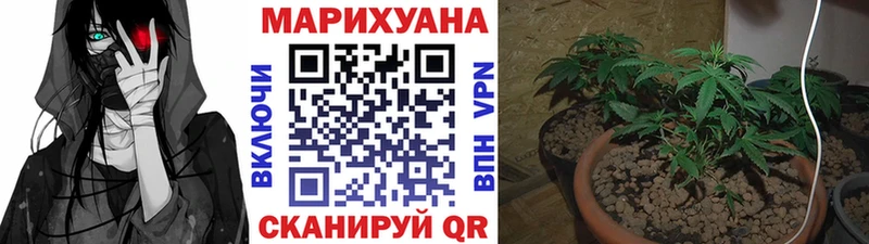 Каннабис Bruce Banner магазин мега рабочий сайт Ермолино